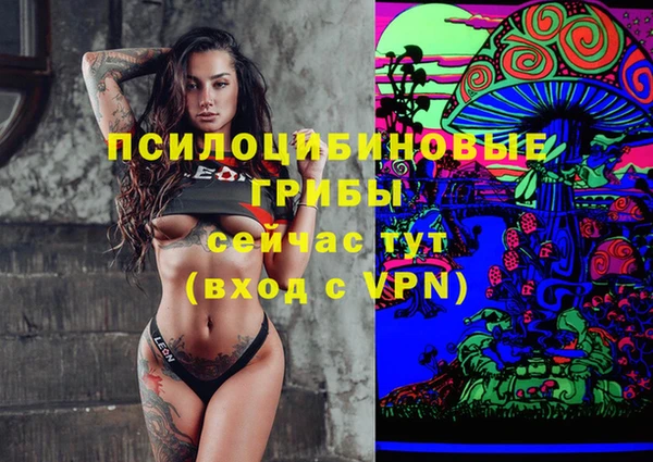 винт Аркадак
