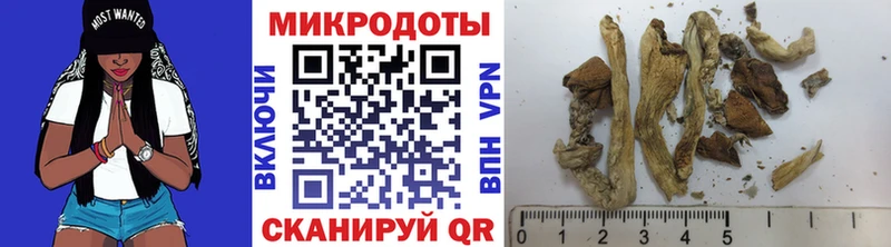 Псилоцибиновые грибы Magic Shrooms  ссылка на мегу   Рудня 